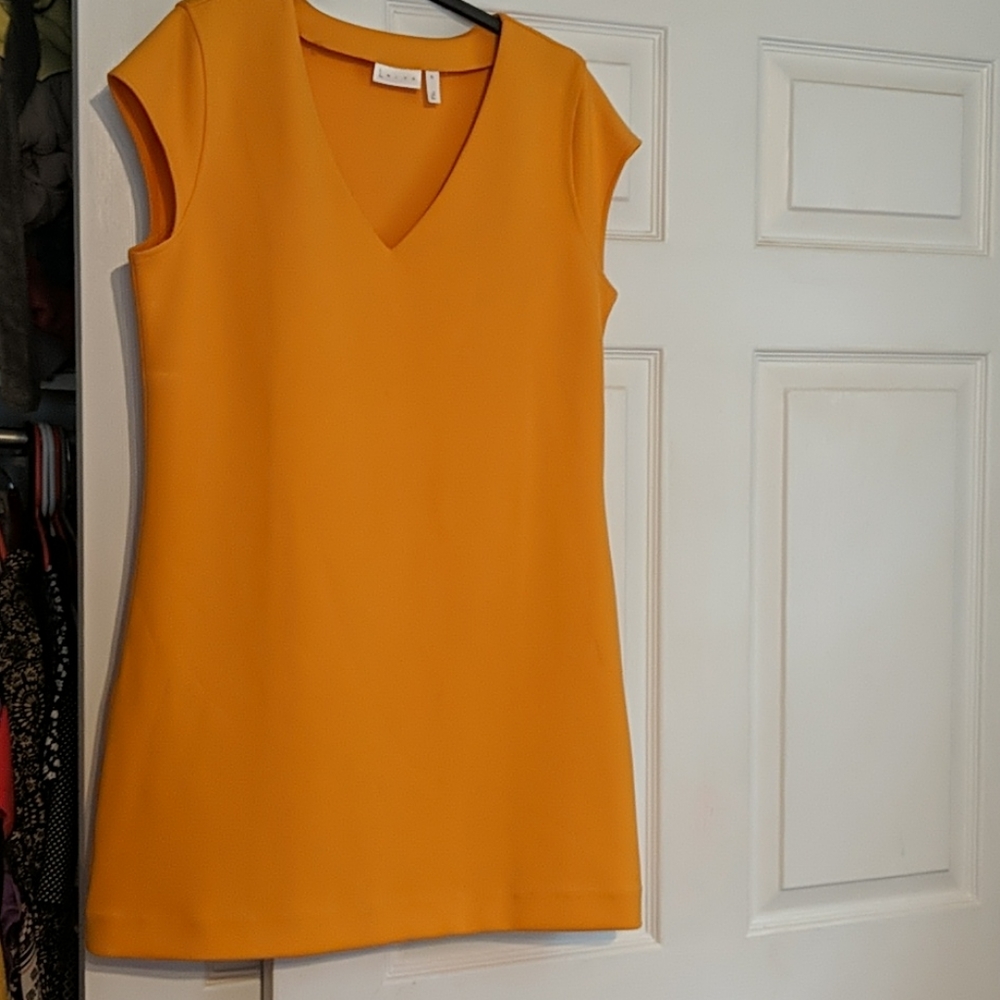 Sheeth mini dress